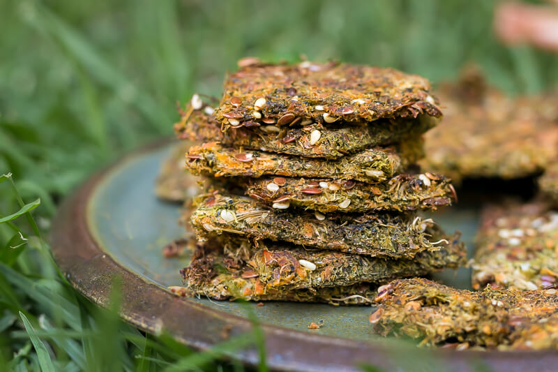 Einfaches Gemüse Cracker Rezept (mit Trester) - lecker & gesund