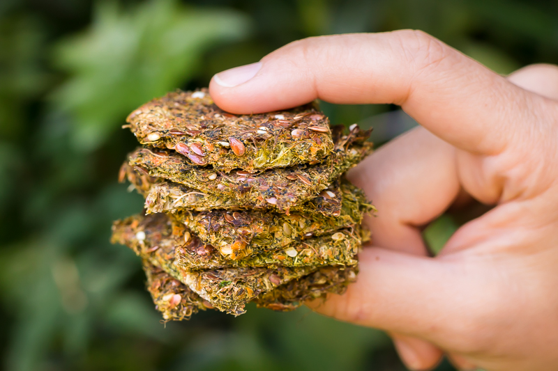 Einfaches Gemüse Cracker Rezept (mit Trester) - lecker & gesund