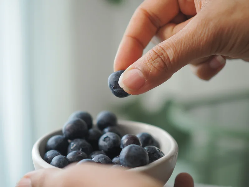 Hand nimmt eine Blaubeere aus einer Schale, Blaubeeren liefern sekundäre Pflanzenstoffe